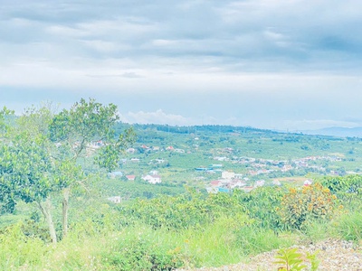 Tổng 1,4 héc ta, đất đẹp, view chill chill, nằm ngay ngã 3 hẻm thuộc hiệp thuận, ninh gia 4