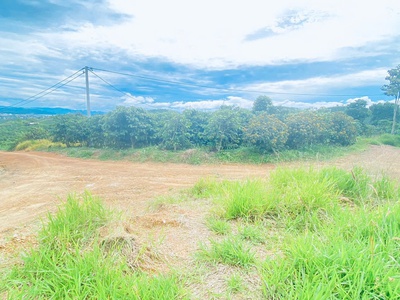 Tổng 1,4 héc ta, đất đẹp, view chill chill, nằm ngay ngã 3 hẻm thuộc hiệp thuận, ninh gia 5