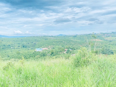 Tổng 1,4 héc ta, đất đẹp, view chill chill, nằm ngay ngã 3 hẻm thuộc hiệp thuận, ninh gia 6