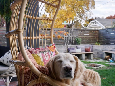 Xích đu đơn mây tự nhiên 3