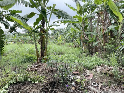 Bán Lô 80m2 TĐC Kim Sơn, Thuận An. Đường 13m, Gần QL17, Gần ĐH Tòa Án, Sổ Đỏ Sẵn 2