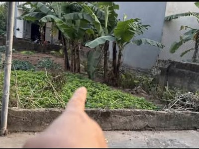 66,4m  đất đẹp thọ xuân   đan phượng - ô tô tránh, vị trí kết nối cực tiện 0