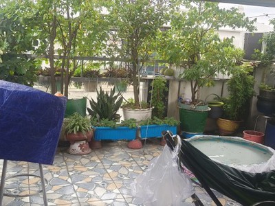 Bán nhà đường 168, phước long a, q.9. tp hcm. dt 85m2, 3 tầng, sh, giá 6.6 tỷ. 0