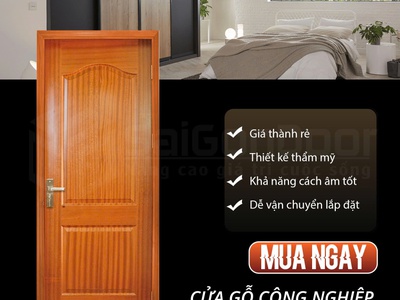 Cửa Gỗ HDF   Giải pháp đẹp, bền, tiết kiệm cho mọi công trình 1