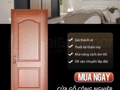 Cửa Gỗ HDF   Giải pháp đẹp, bền, tiết kiệm cho mọi công trình 2