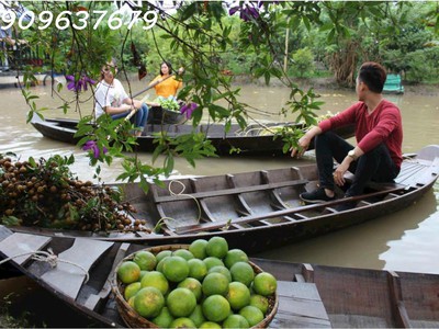 Một khu du lịch sinh thái lung tràm- cần thơ hàng hiếm có -17.732m2 1