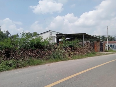 Chính chủ bán đất hiện hữu mặt tiền đường an nhơn tây, huyện củ chi , hồ chí minh 2