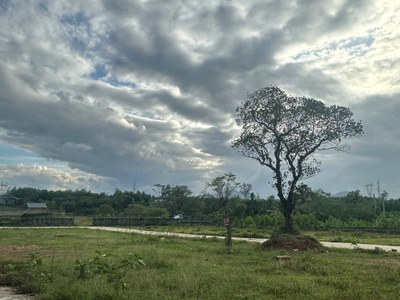 Khu dân cư Dạ Lê chỉ còn 5 lô duy nhất 101m2, giá chỉ 626 triệu/lô 1