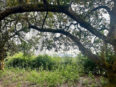 Mảnh vườn view Hồ Trị An - Gần sân bay Long Thành - Giá bán chưa đến 1 tỷ 6