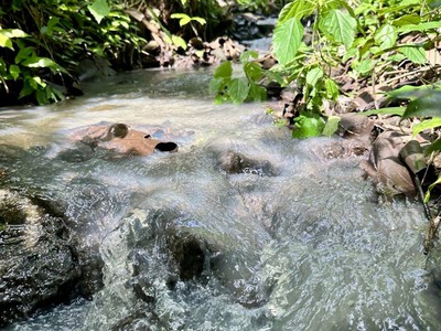 Mảnh vườn view Hồ Trị An - Gần sân bay Long Thành - Giá bán chưa đến 1 tỷ 0