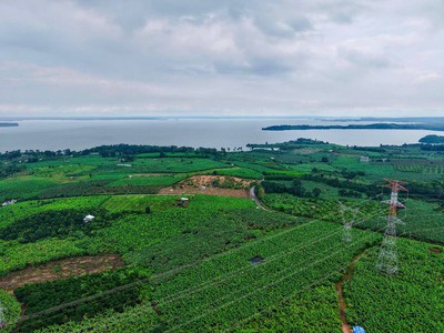 Mảnh vườn view Hồ Trị An - Gần sân bay Long Thành - Giá bán chưa đến 1 tỷ 7