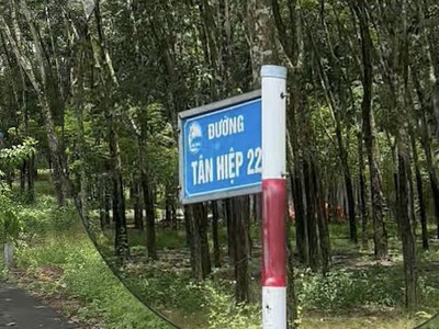 Chính Chủ - Bán Gấp Lô Góc 2 Mt Đường Tân Hiệp 22   Giá Siêu Tốt 1