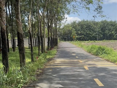 Chính Chủ - Bán Gấp Lô Góc 2 Mt Đường Tân Hiệp 22   Giá Siêu Tốt 2