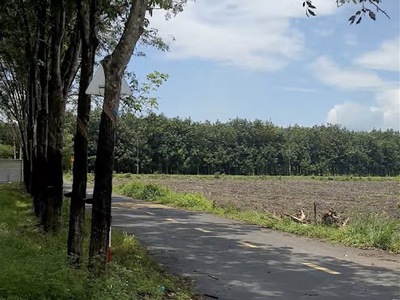 Chính Chủ - Bán Gấp Lô Góc 2 Mt Đường Tân Hiệp 22   Giá Siêu Tốt 3