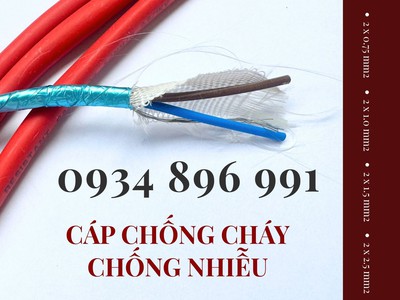 Cáp Chống Cháy Chống Nhiễu 2x2.5 mm2 Chuẩn BS6387, IEC 60331 0