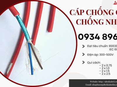 Cáp Chống Cháy Chống Nhiễu 2x2.5 mm2 Chuẩn BS6387, IEC 60331 2