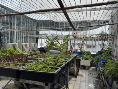 Nhà vị trí siêu đẹp tăng nhơn phú,phước long b,  kết cấu 3 tầng  thiết kế: sân vườn, gara ô tô 2 2