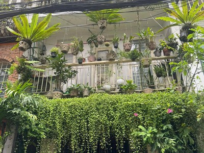 Bán nhà hxh trương công định p14 tân bình 4,2 23, 2 tầng 0