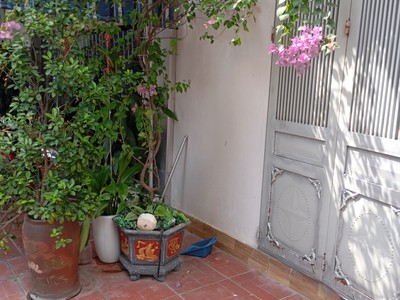 Cực hiếm chính chủ cần bán nhà cấp 4 khu dịch vụ lai xá hòa đức diện tích 36 m2 mt 5 m nhỉnh 9 tỷ ô 3