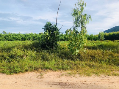 Bán 2.5 sào đất 2 mặt đường số 8 - tân hà - hàm tân giá mềm 36tr/m ngang 1