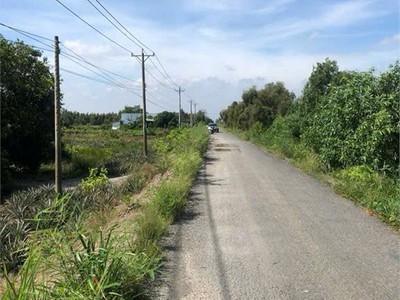 Đất đẹp- giá tốt cần bán nhanh lô đất mặt tiền vị trí đắc địa tại huyện tân phước, tỉnh tiền giang 3