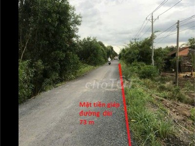 Đất đẹp- giá tốt cần bán nhanh lô đất mặt tiền vị trí đắc địa tại huyện tân phước, tỉnh tiền giang 4