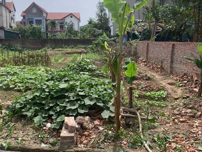 Bán lô đất đẹp   thôn đan thượng, xã tân phú  cũ    nay là xã vĩnh thành, phú thọ 0