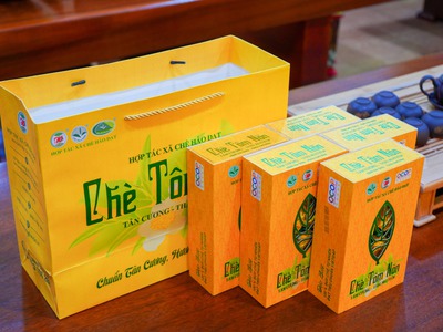 Chè Tôm Nõn HTX CHÈ HẢO ĐẠT tại Thanh Hoá 0