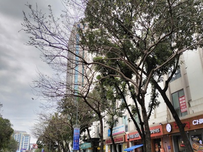 PL Giảng Võ Niềm khao khát sở hữu của người Hà Nội 502 7T thang máy. Lh KHánh 5