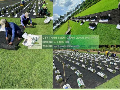 Báo Giá Thi Công Cây Xanh Công Trình Dự Án 2025: Chất Lượng, Tối Ưu Chi Phí 5