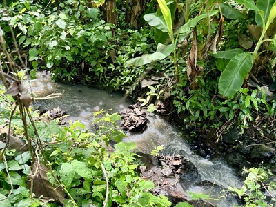 Cần tiền xoay vốn cần bán gấp 525m2 đất có hơn 200m2 thổ cư gần Sân bay Quốc tế Long Thành. 0