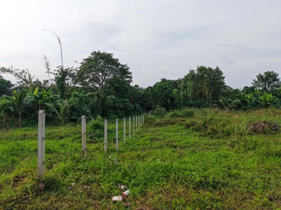 Cần tiền xoay vốn cần bán gấp 525m2 đất có hơn 200m2 thổ cư gần Sân bay Quốc tế Long Thành. 6