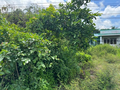 Bán đất chính chủ ấp trà sim, xã ninh điền, châu thành, tây ninh - giá tốt đầu tư 1