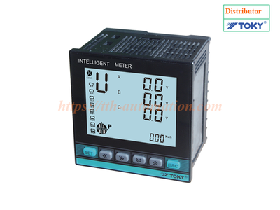 Đồng hồ đo công suất thông minh D311A series 1
