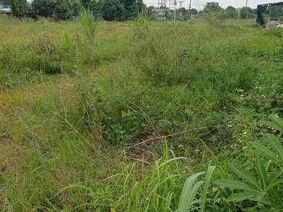 Cần Tìm Đối Tác Chuyển Nhượng Đất KCN Đồng Văn, Hà Nam 2