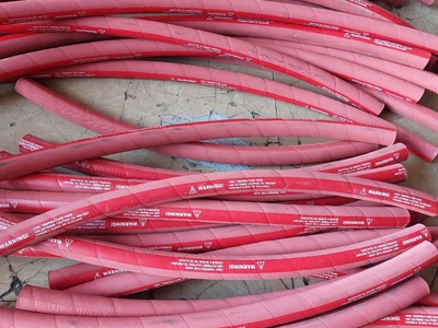 Ống dẫn hơi nước nóng Steam Hose 4