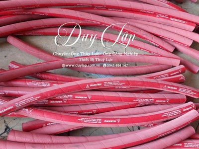 Ống dẫn hơi nước nóng Steam Hose 5