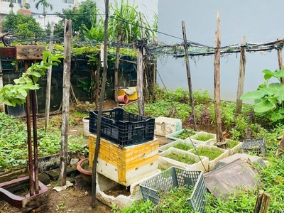 Bán lô góc sơn thủy 12 gần biển, 127.6m , vị trí đẹp hiếm, giá chỉ 10.5 tỷ 1