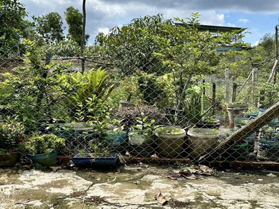 L1572 ⭐ 3 lô đất xuân thới sơn 8, shr, hxh, 7x17m, 2.x tỷ 2