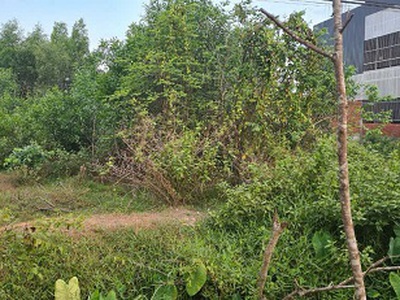 Bán đất mặt tiền tỉnh lộ 823   vị trí đẹp, gần trường học   trung tâm hành chính 1