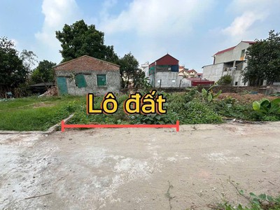 Em gái muốn bán 71m đất ô tô đỗ cửa đường tông ngay chợ, trường tại thọ an - đan phượng - hà nội 1