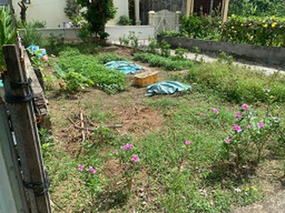 Bán mảnh đất khu vực tái định cư hồ sen cầu rào 2 tại đường vĩnh cát, phường an biên phường vĩnh 0