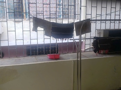 Cho thuê nhà ngõ 93 hoàng văn thái, 50m x 2 tầng, 2pn, 2 wc, 8 triệu/tháng 2