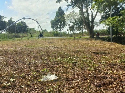 Mình cần bán gấp lô đất khóm 16, phường mỹ ngãi ,đồng tháp tân nghĩa , cao lãnh , đồng tháp cũ 4