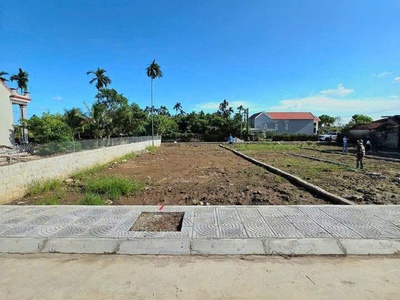 Nga sơn xuất hiện quỹ đất hiếm ven khu công nghiêp nga tân 430 ha 1