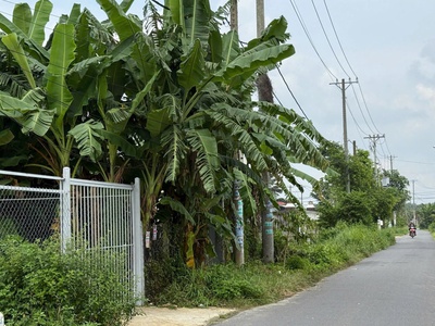 Chính chủ  bán đất mặt tiền xã tân thông hội ,củ chi , hồ chí minh , 400m  thổ cư 2