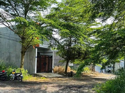 Cần bán đất nền chợ rạch kiền tại đường đinh đức thiện, xã long hòa, huyện cần đước, long an. 4