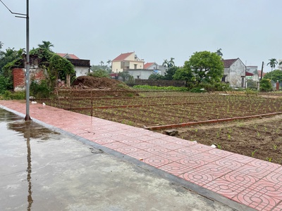 Bán đất giao phong quất lâm 95m2 sát bãi biển và flamingo hơn 1 tỷ 2