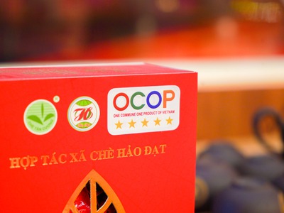 Chè Thái Nguyên Tại Thanh Hoá 1