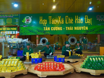 Chè Thái Nguyên Tại Thanh Hoá 6